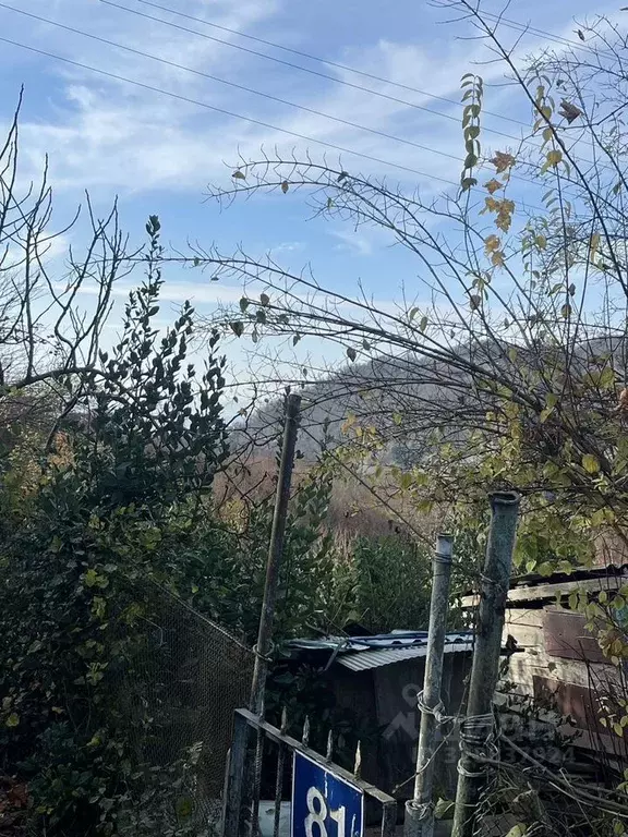 Участок в Краснодарский край, Сочи городской округ, с. Русская Мамайка ... - Фото 2