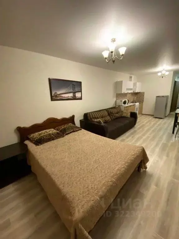 1-к кв. Саратовская область, Саратов ул. Лопатина Гора, 14к1 (31.0 м) - Фото 1