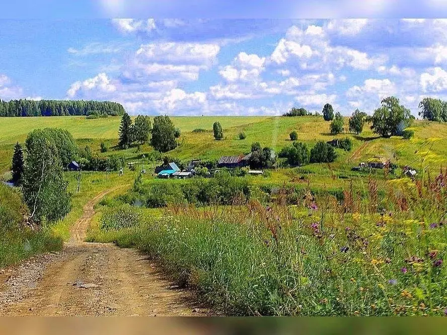 Пичуги деревня пермский край фото Участок в Пермский край, Частинский муниципальный округ, д. Красики ., Купить зе