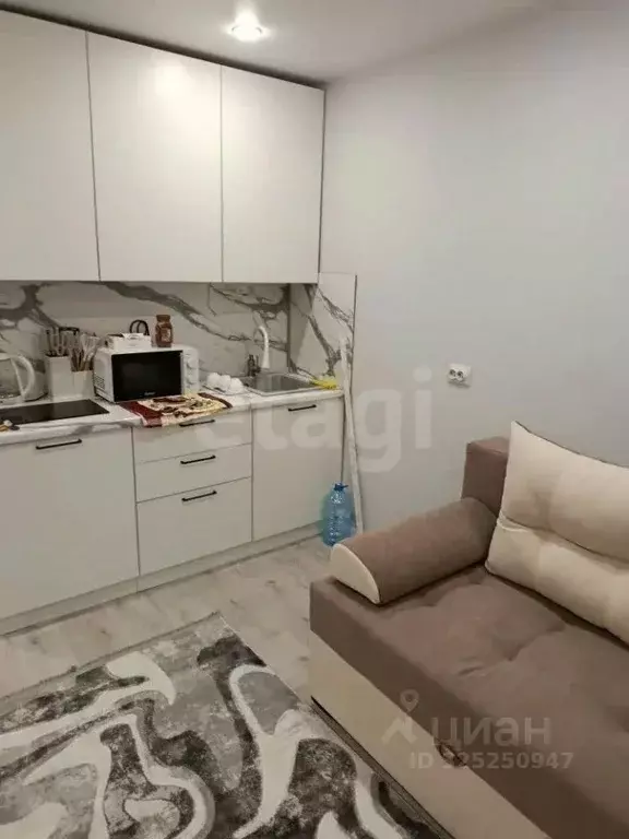 Студия Тюменская область, Тюмень ул. Новоселов, 113 (18.0 м) - Фото 2