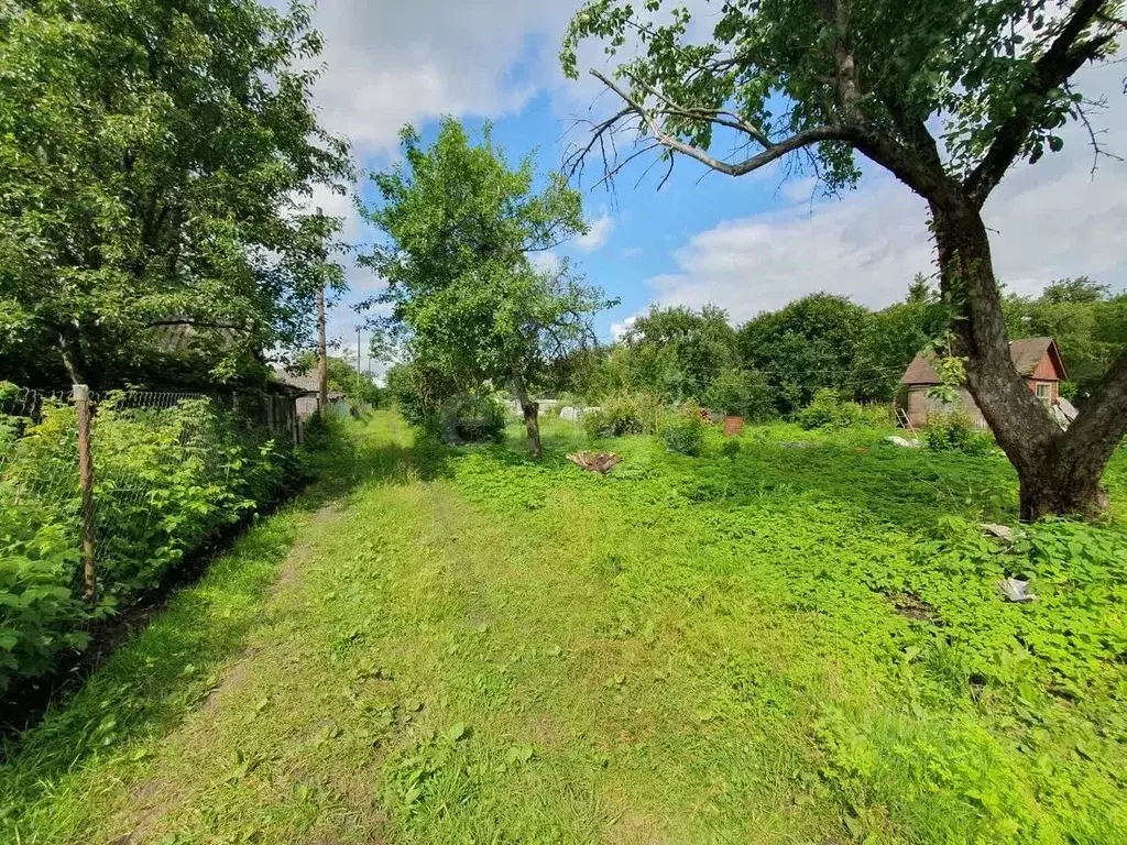 Участок в Брянская область, Брянск Коммунальник садовое общество,  ... - Фото 0