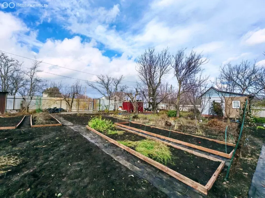 Участок в Белгородская область, Яковлевский муниципальный округ, СНТ ... - Фото 1