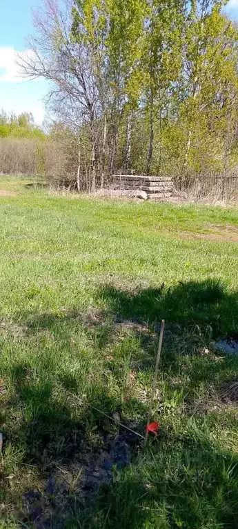 Участок в Калужская область, Ферзиковский муниципальный округ, ... - Фото 2