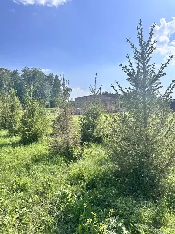 Дом в Красноярский край, Емельяновский муниципальный округ, с. Шуваево ... - Фото 0