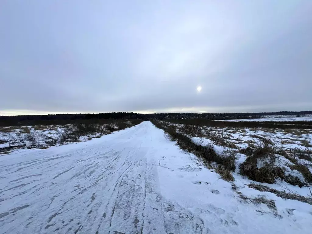 Участок в Московская область, Домодедово городской округ, с. Успенское ... - Фото 1