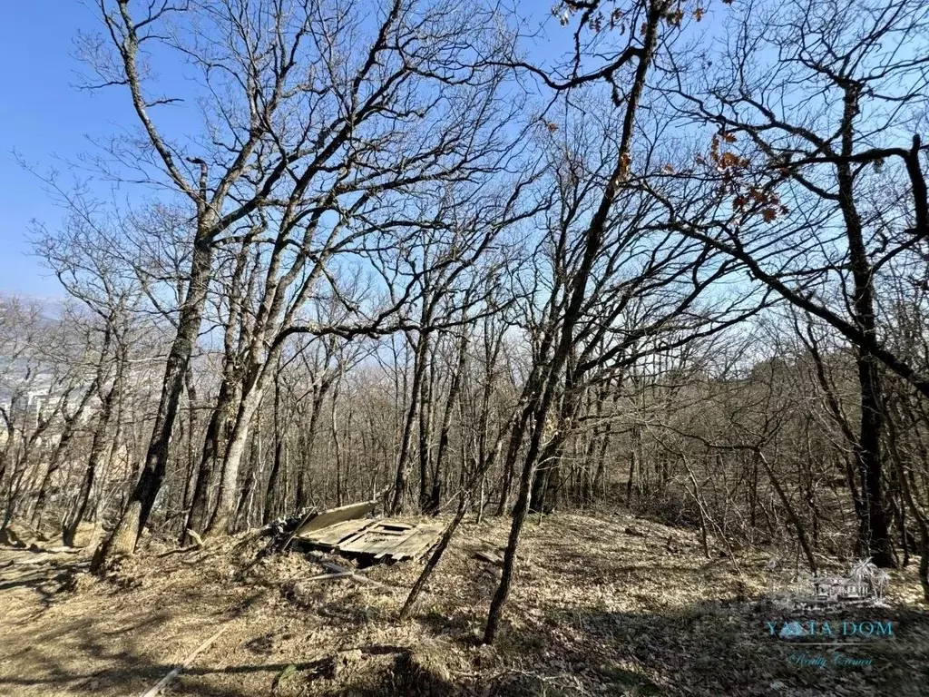 Участок в Крым, Ялта  (23.0 сот.) - Фото 1