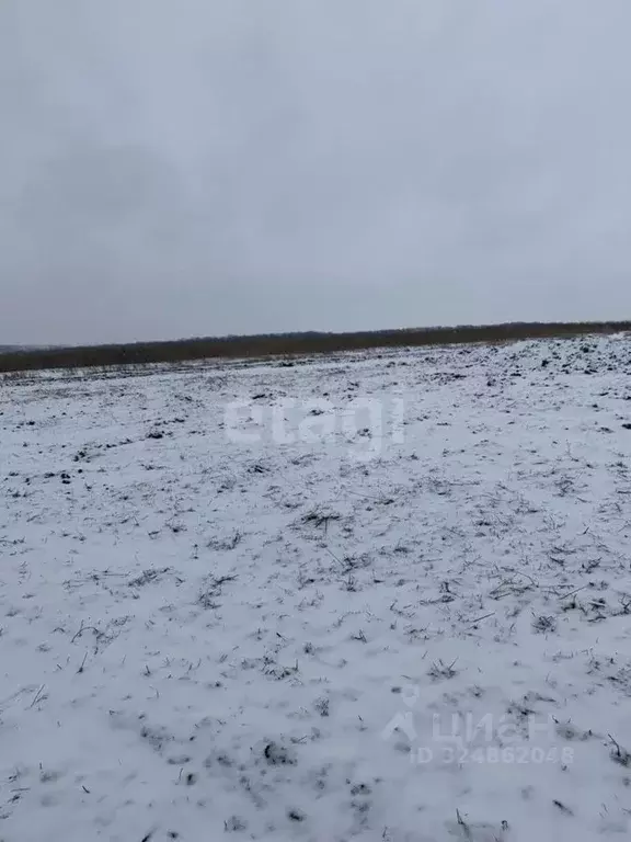 Участок в Белгородская область, Белгородский район, Головинское с/пос, ... - Фото 1