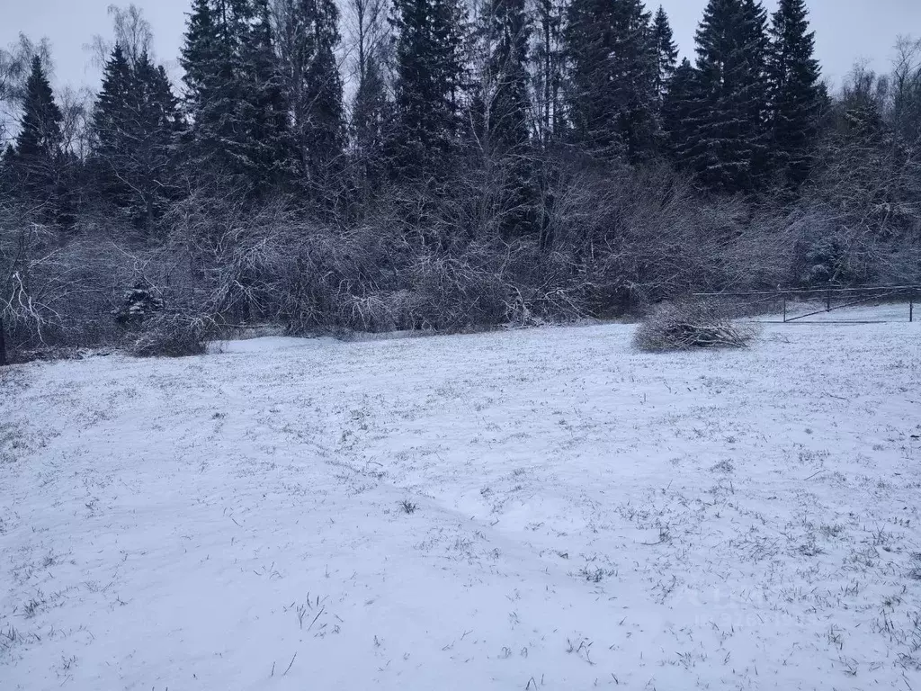 Участок в Московская область, Солнечногорск городской округ, д. ... - Фото 1