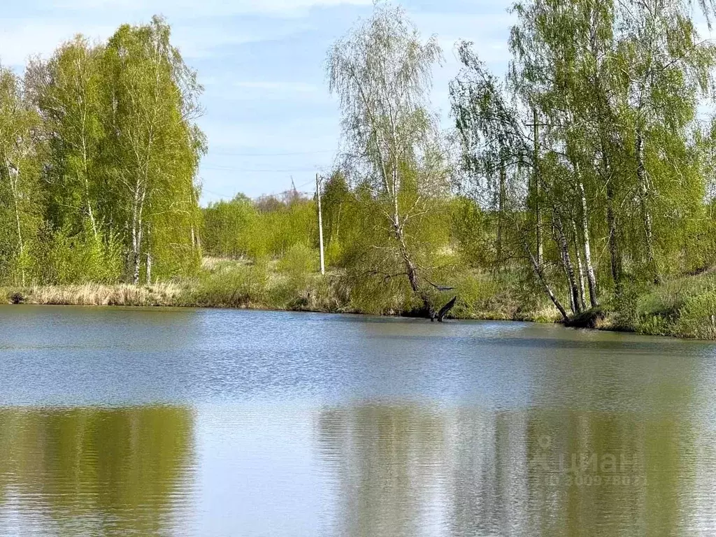 Участок в Тульская область, Заокский район, Демидовское с/пос, д. ... - Фото 2