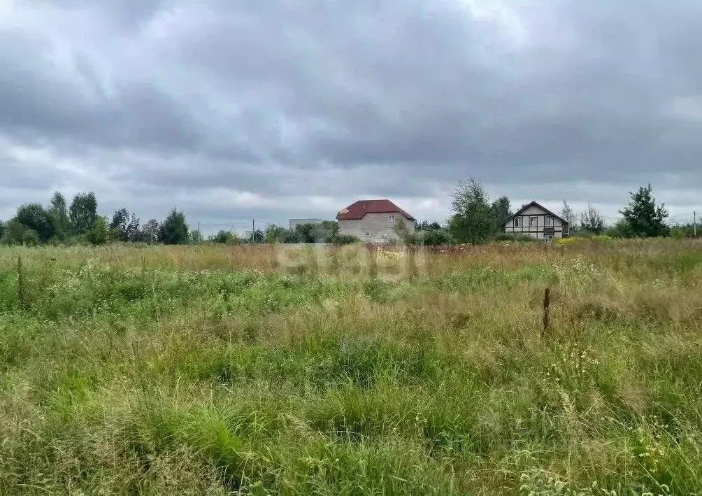 Участок в Новосибирская область, Бердск ул. Радостная (9.8 сот.) - Фото 1