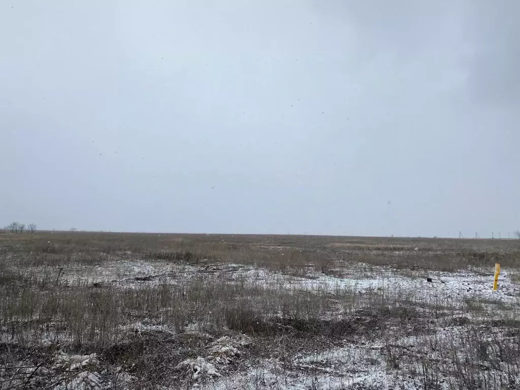 Участок в Волгоградская область, Среднеахтубинский район, Фрунзенское ... - Фото 0