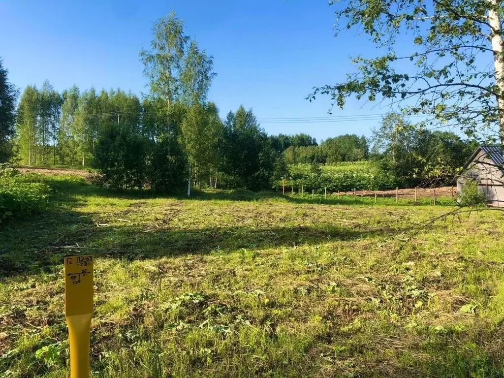 Участок в Новгородская область, Валдай ул. Учхоз (14.9 сот.) - Фото 1