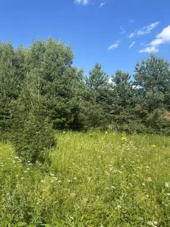 Участок в Тверская область, Калязинский муниципальный округ, д. Рог  ... - Фото 0