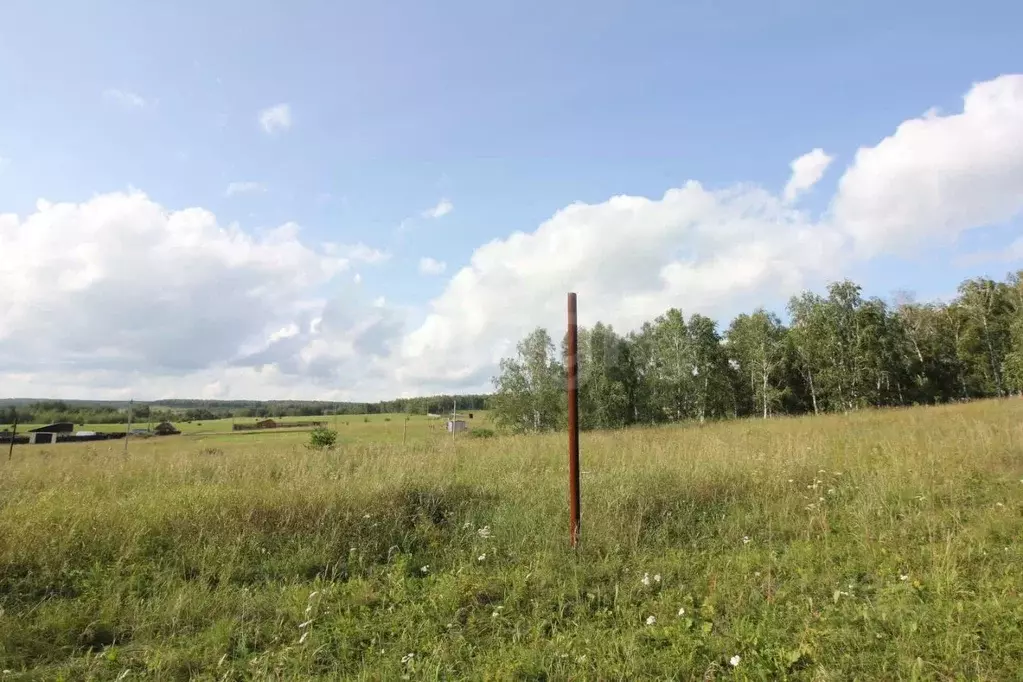 Участок в Красноярский край, Емельяново пгт ул. Аленушки, 67 (8.0 ... - Фото 1