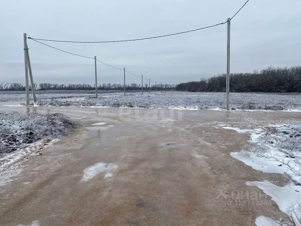 Участок в Ростовская область, Мясниковский район, Краснокрымское ... - Фото 1