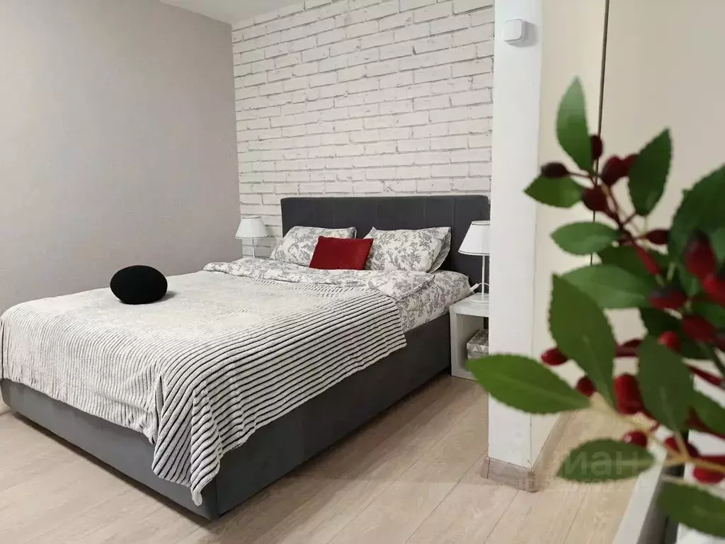 1-к кв. Псковская область, Псков Профсоюзная ул., 1 (30.0 м) - Фото 2