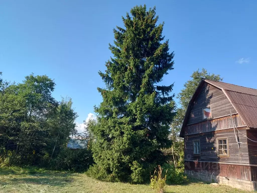 Участок в Санкт-Петербург пос. Петро-Славянка, Красноармейское СНТ,  ... - Фото 1