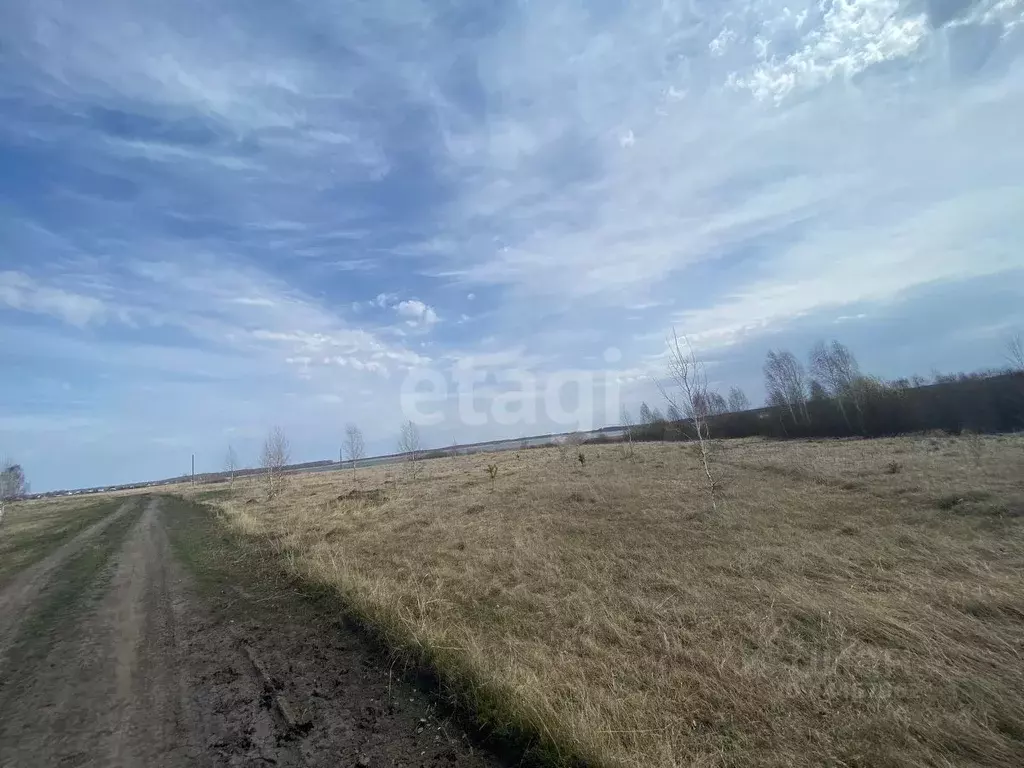 Участок в Челябинская область, Аргаяшский район, Медиак кп (10.0 ., Купить  земельный участок в Аргаяшском районе, ID объекта - 20005242743