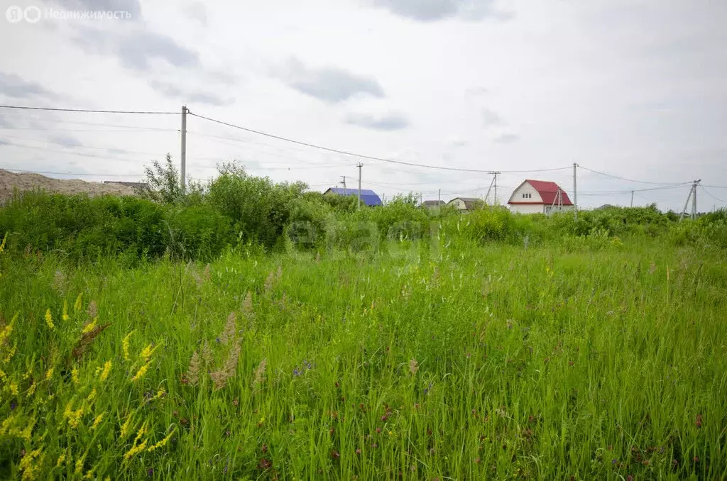 Участок в Ялуторовск, улица Полковникова (10 м) - Фото 2