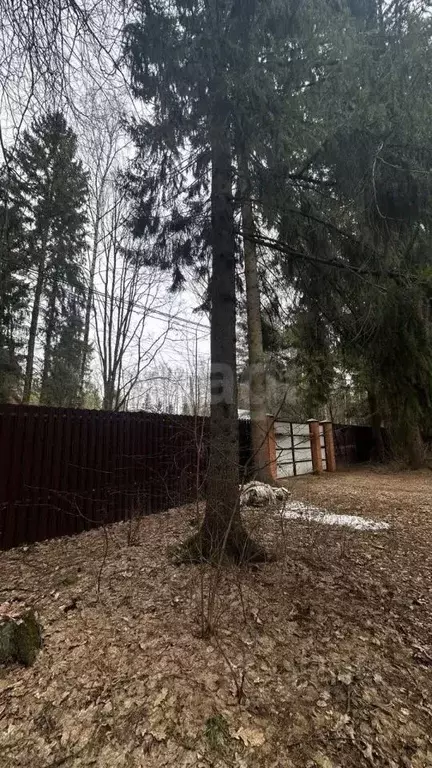 Участок в Московская область, Одинцовский городской округ, с. ... - Фото 2