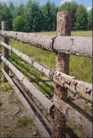 Участок в Пермский край, Соликамский муниципальный округ, пос. Затон  ... - Фото 1