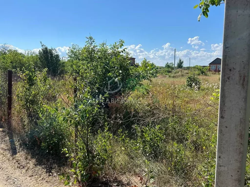 Участок в Краснодарский край, Ейское городское поселение, пос. ... - Фото 2