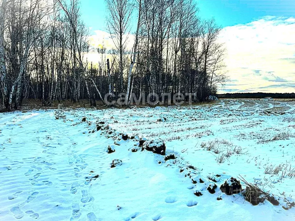Участок в Тюменская область, Тюменский муниципальный округ, с. ... - Фото 1