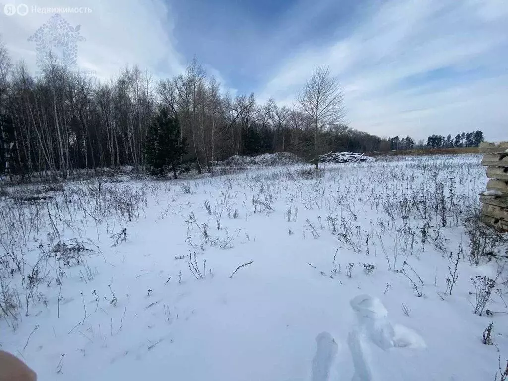 Участок в Рамонский район, село Горожанка (100 м) - Фото 1