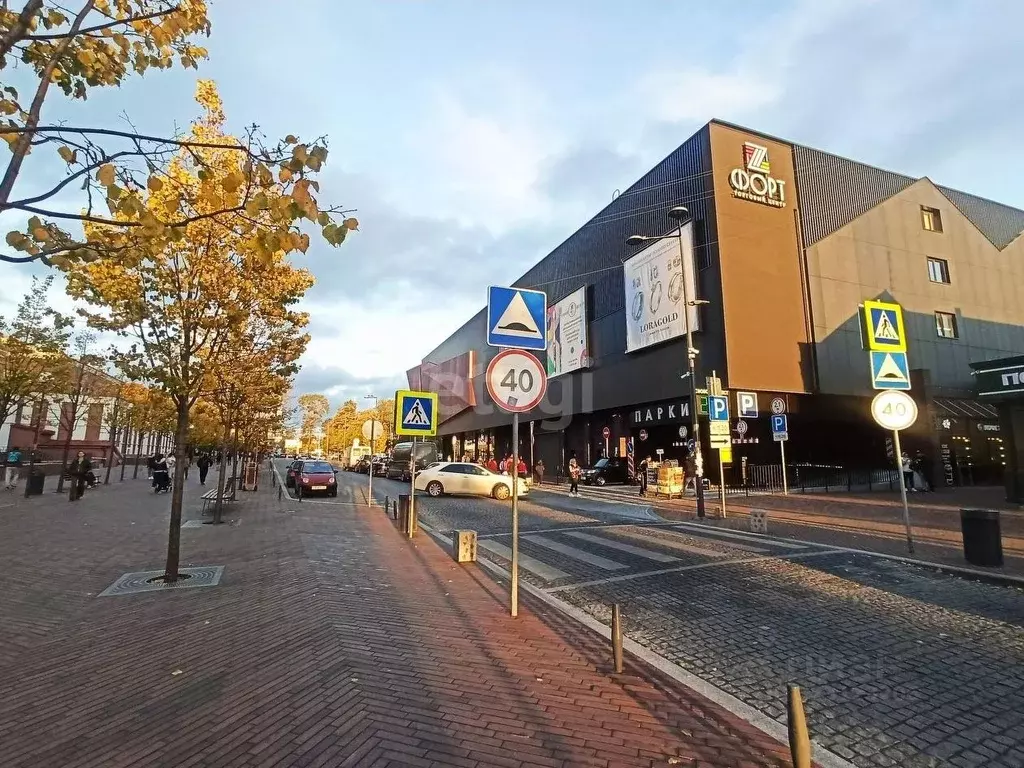 Торговая площадь в Калининградская область, Калининград ул. Профессора ... - Фото 1