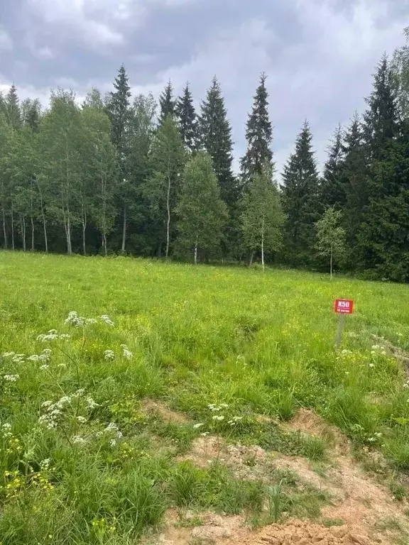 Участок в Московская область, Ступино городской округ, с. Мышенское ... - Фото 1