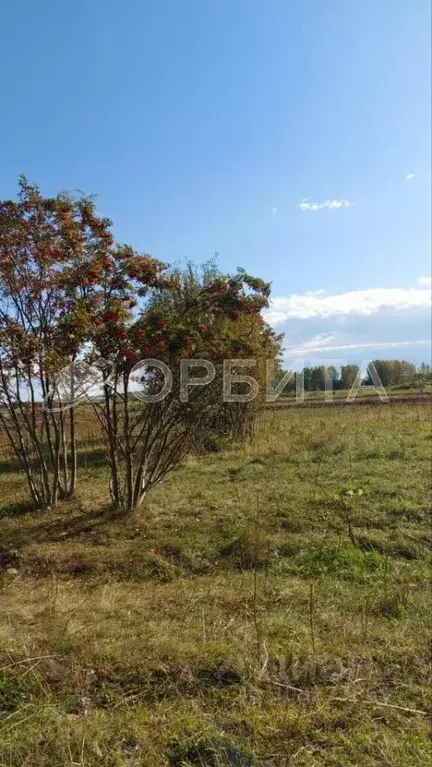 Участок в Тюменская область, Нижнетавдинский район, с. Тюнево  (7.5 ... - Фото 1