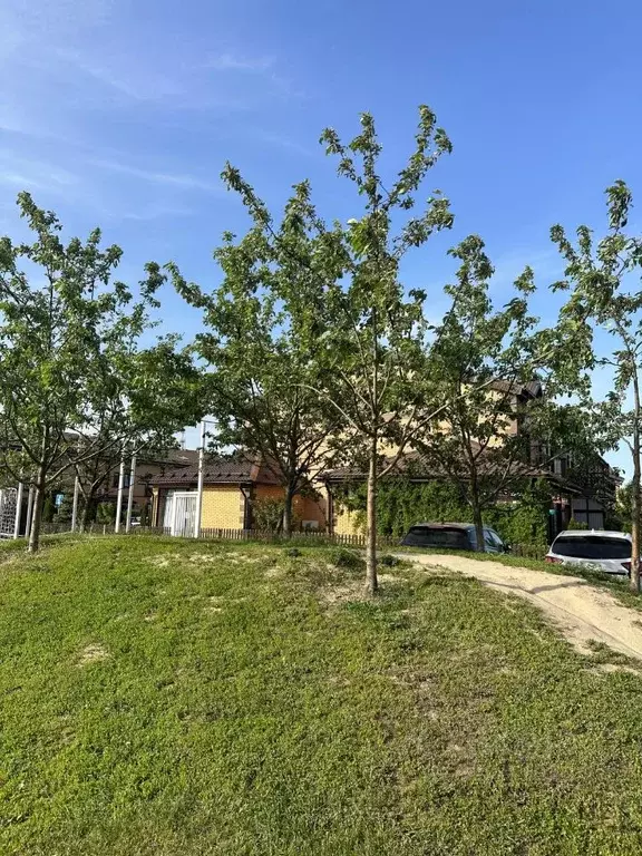 Участок в Московская область, Мытищи городской округ, д. Шолохово ... - Фото 2