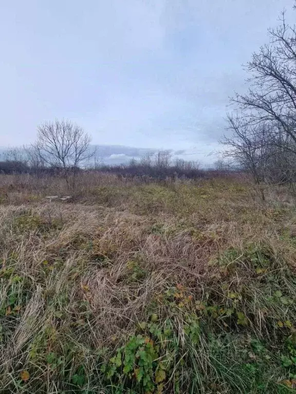 Участок в Краснодарский край, Новороссийск городской округ, Раевская ... - Фото 2