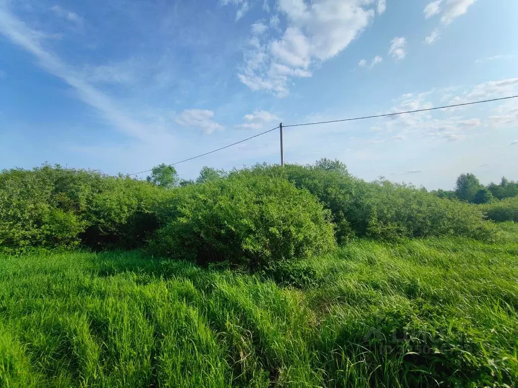 Участок в Московская область, Рузский муниципальный округ, д. ... - Фото 1