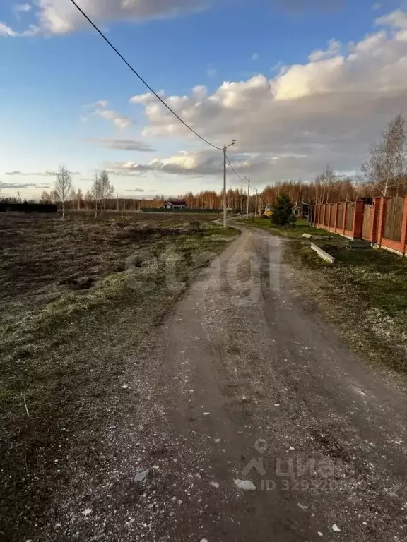 Участок в Ярославская область, Некрасовский муниципальный округ, д. ... - Фото 2