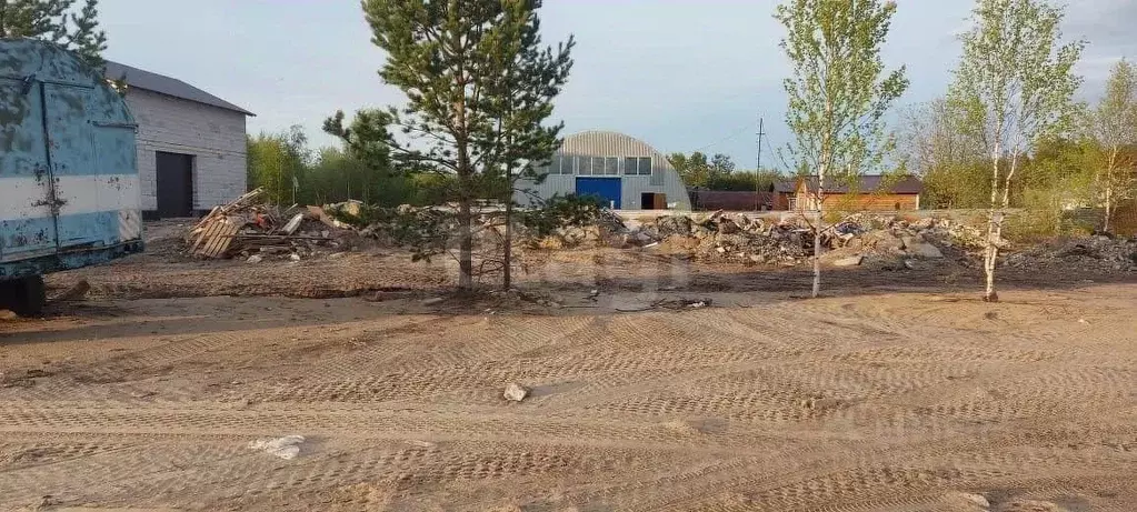 Участок в Ямало-Ненецкий АО, Тарко-Сале Пуровский район, Дальние Дачи ... - Фото 1