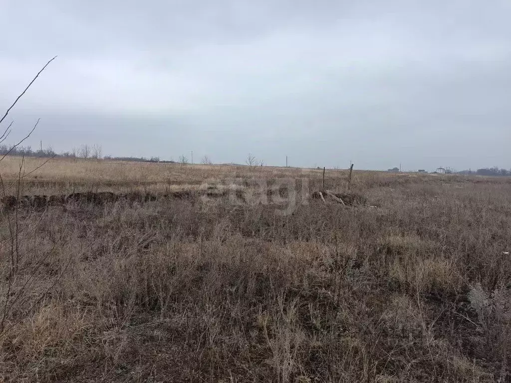 Участок в Курская область, Курский район, Новопоселеновский сельсовет, ... - Фото 1