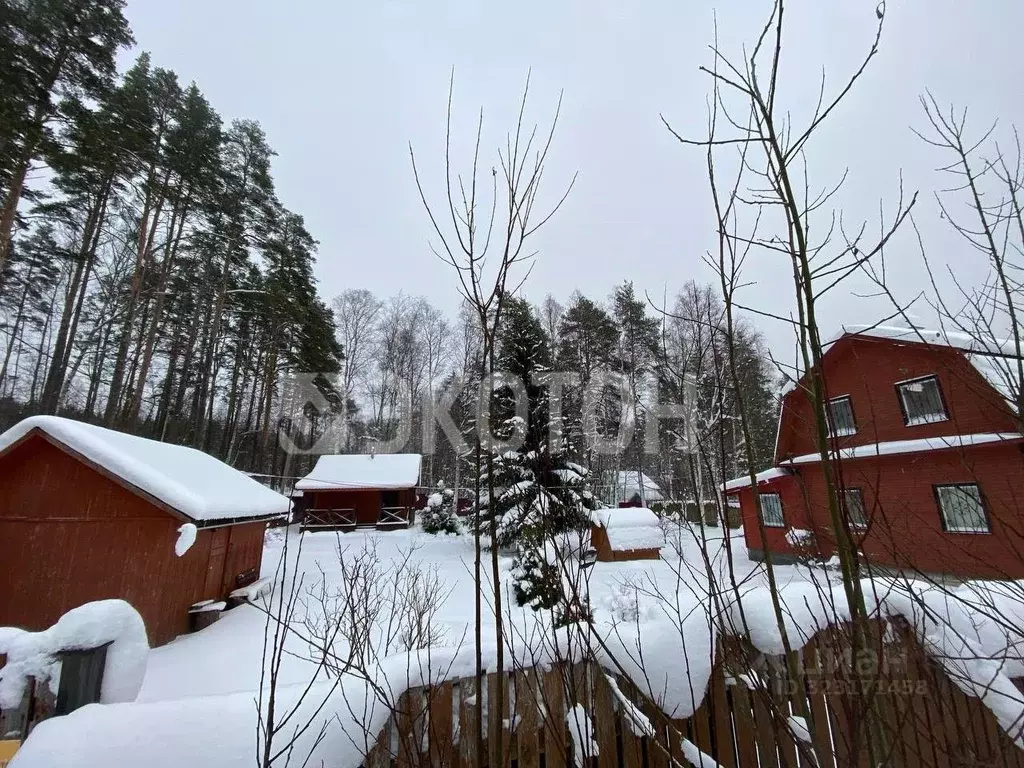 Дом в Ленинградская область, Приозерский район, Ромашкинское с/пос, ... - Фото 2