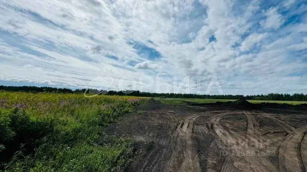 Участок в Тюменская область, Тюменский муниципальный округ, с. ... - Фото 2