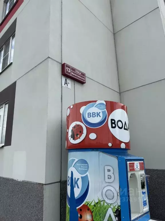 Свободной планировки кв. Воронежская область, Новоусманский район, ... - Фото 1