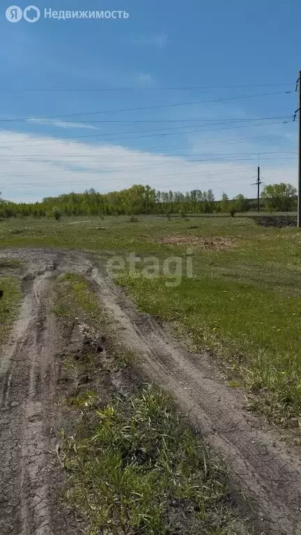 Участок в село Ключи, Солнечная улица (12 м) - Фото 0