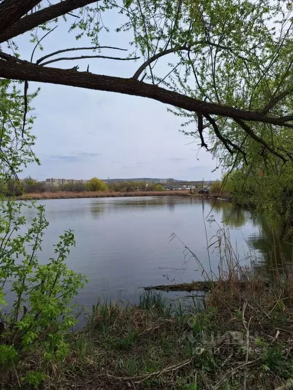 Участок в Саратовская область, Саратов Плодоягодная ул., 24 (13.0 ... - Фото 0