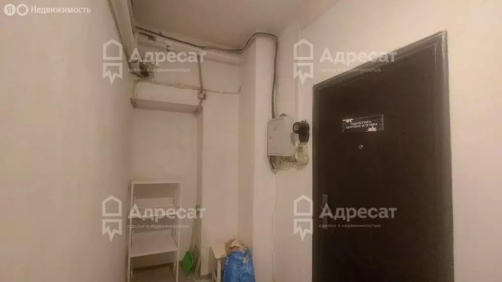 Помещение свободного назначения (45.6 м) - Фото 0