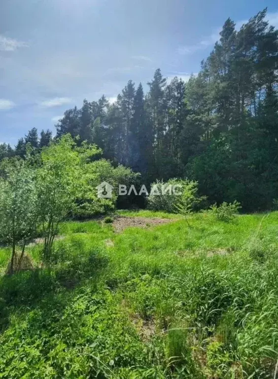 Участок в Нижегородская область, Бор Кружевница СНТ, 50 (5.0 сот.) - Фото 2