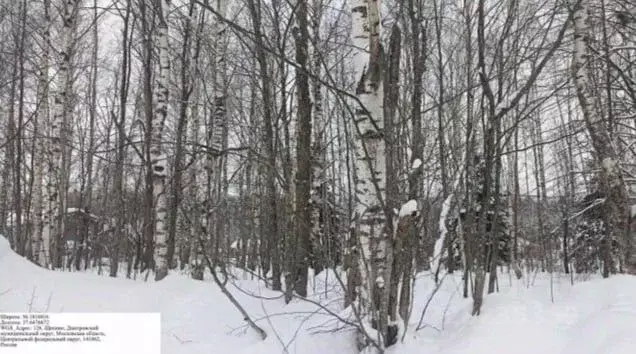 Участок в Московская область, Дмитровский муниципальный округ, д. ... - Фото 1