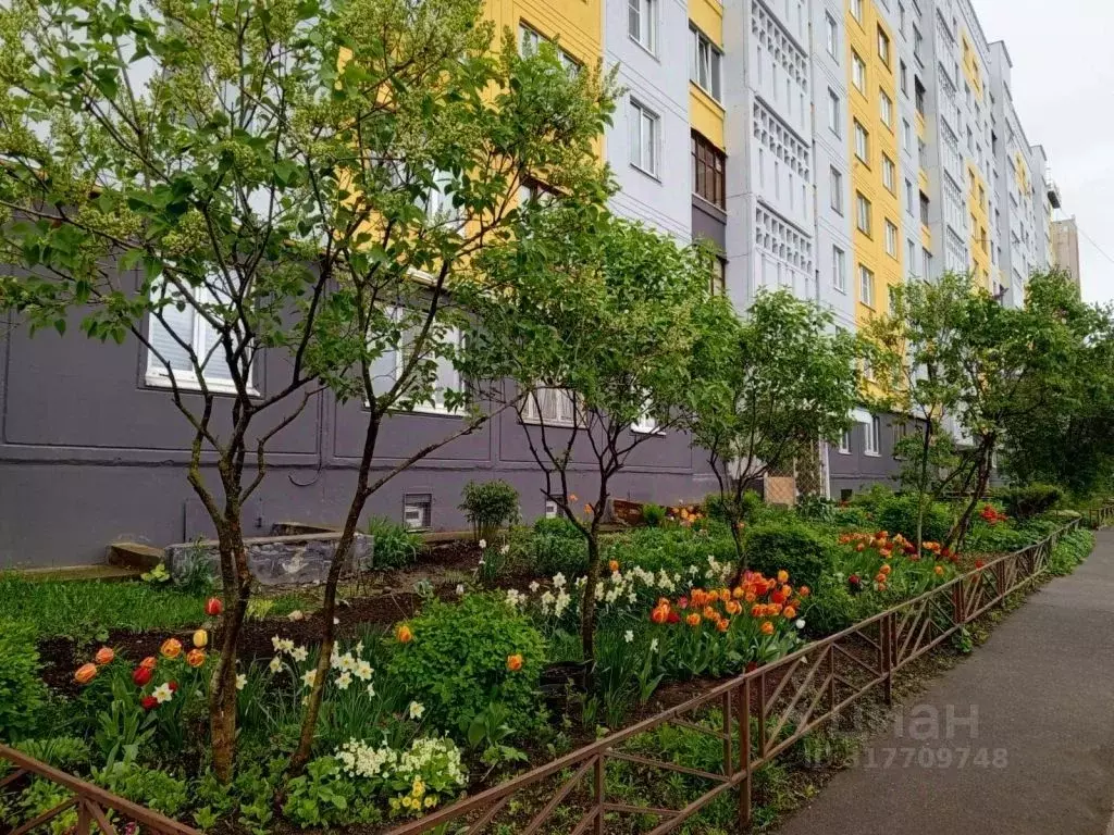3-к кв. Костромская область, Кострома Магистральная ул., 39 (65.0 м) - Фото 0