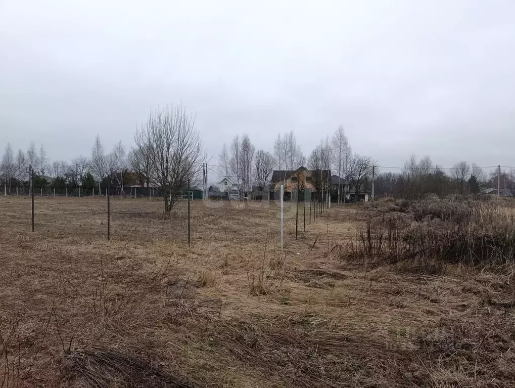 Участок в Калужская область, Калуга городской округ, с. Некрасово пер. ... - Фото 1