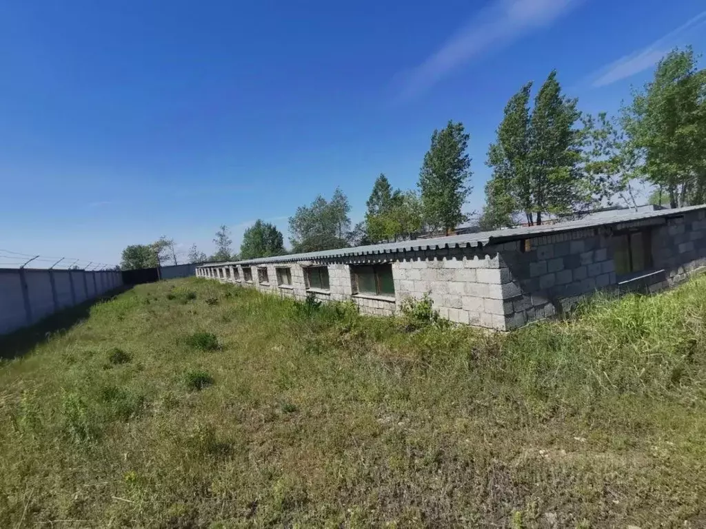 Производственное помещение в Татарстан, Набережные Челны ул. Шлюзовая, ... - Фото 1