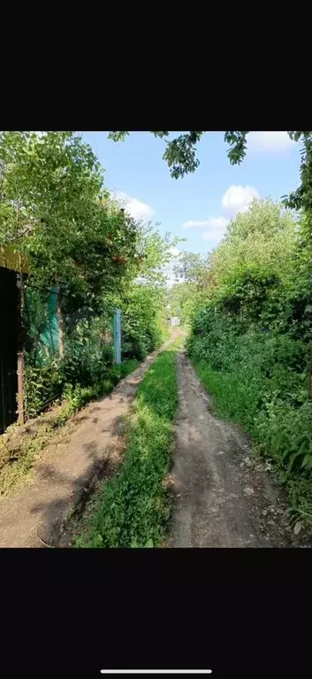 Дача 18,5 м на участке 6 сот. - Фото 0