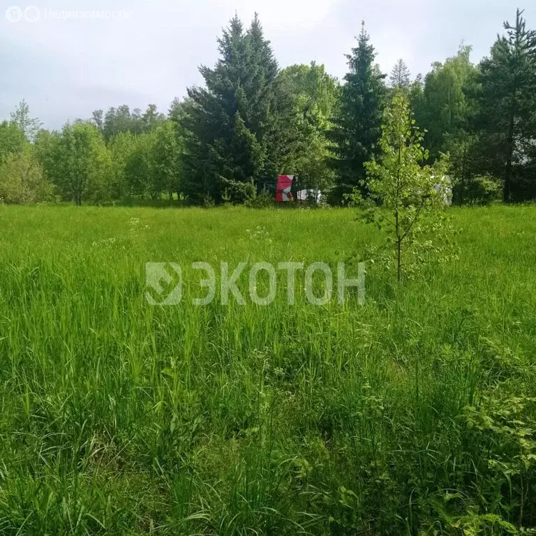 Участок в Выборгский район, Полянское сельское поселение, поселок ... - Фото 1